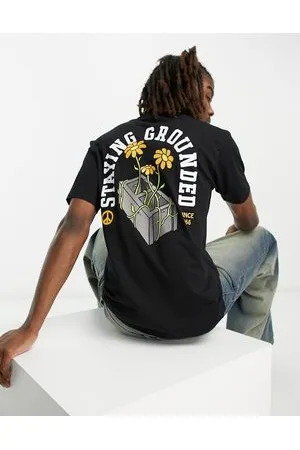 Vans Staying grounded back print t-shirt in