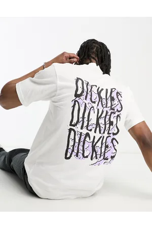 Dickies Creswell back print t-shirt in