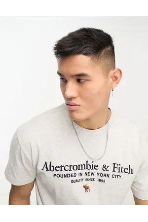 Abercrombie & Fitch Heritage logo t-shirt in marl