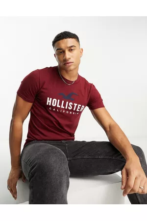 Hollister Men Short Sleeve - Tech logo t-shirt in burgundy marl