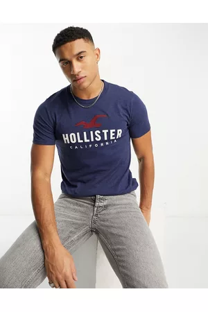 Hollister Men Short Sleeve - Tech logo t-shirt in marl