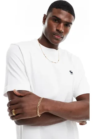 Abercrombie & Fitch Elevated icon logo t-shirt relaxed fit in