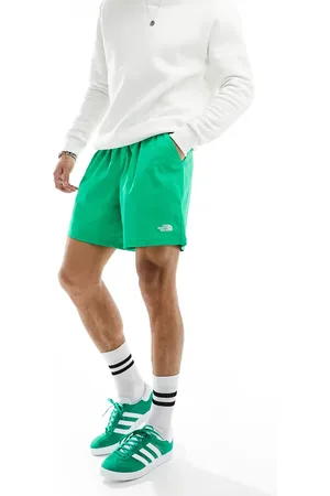 The North Face Class V Pathfinder logo shorts in