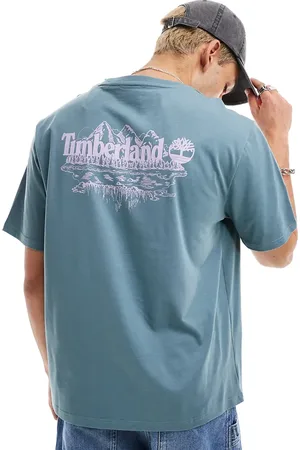 Timberland Large mountain back print oversized t-shirt in blue Exclusive to Asos