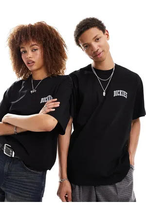 Dickies Aitken small logo t-shirt in