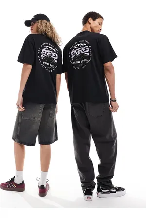 Dickies Stanardsville back print t-shirt in