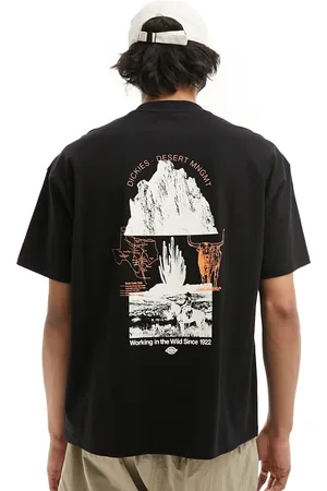 Dickies Pearisburg back print t-shirt in