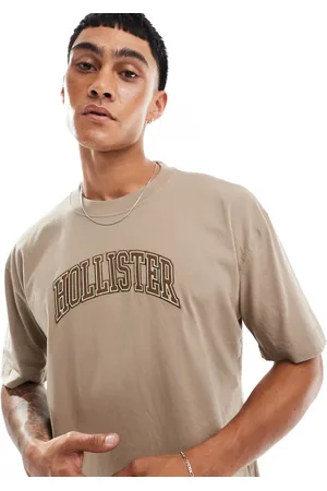 Hollister Varsity tech logo heavyweight boxy fit t-shirt in tan