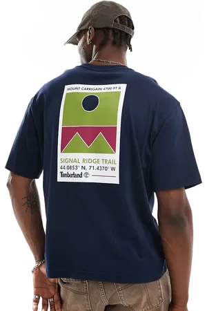 Timberland Oversized mountain geo print t-shirt in blue - Exclusive to Asos