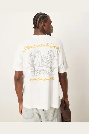 Abercrombie & Fitch City scenic back logo vintage oversized t-shirt in