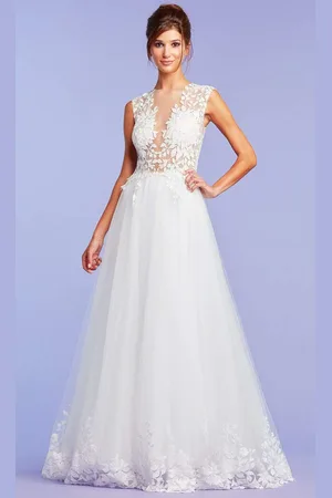 Tadashi Shoji Hastings Illusion Gown