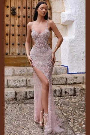 Chic And Holland AR330303 - Embroidered Sleeveless Fitted Prom Gown