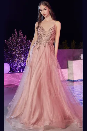 Ladivine CD874 - Applique Tulle Long Classic Prom Dress