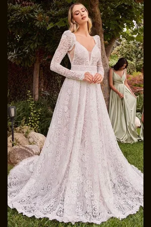 Cinderella Divine CD862W - Lace Wedding Dress with V-Neckline