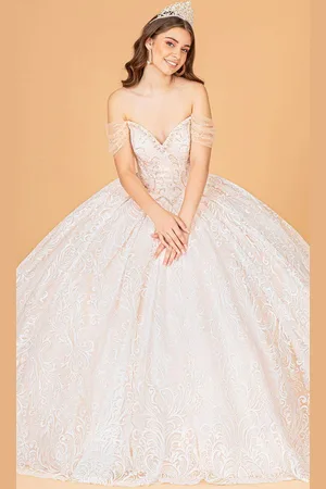 Elizabeth K GL3073 - Embroidered Tulle Ballgown
