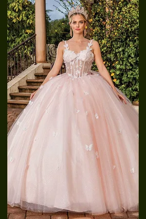 Dancing Queen 1879 - Applique Tulle Ballgown