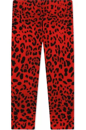 Dolce & Gabbana Leopard-print stretch-cotton leggings