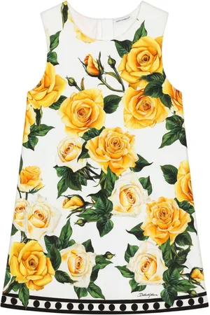 Dolce & Gabbana Rose-print cotton dress