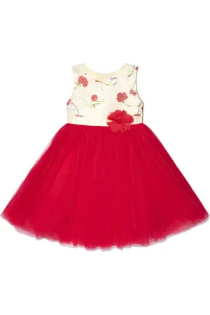 IAME Floral-print tulle dress