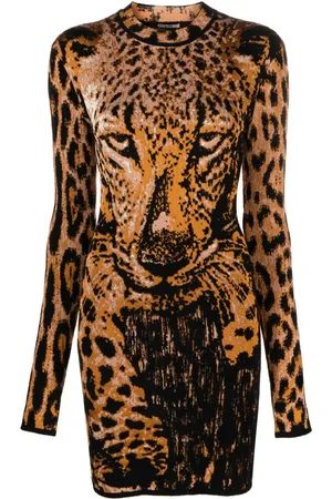Roberto Cavalli Leopard-print long-sleeve minidress