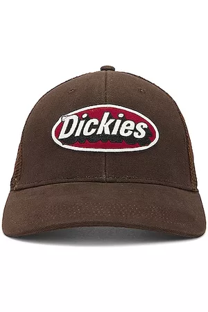 Dickies Trucker Hat in Brown