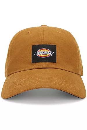 Dickies Washed Canvas Cap in Brown