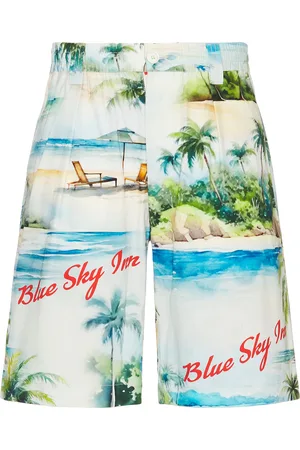 BLUE SKY INN Island Poplin Shorts in Grey