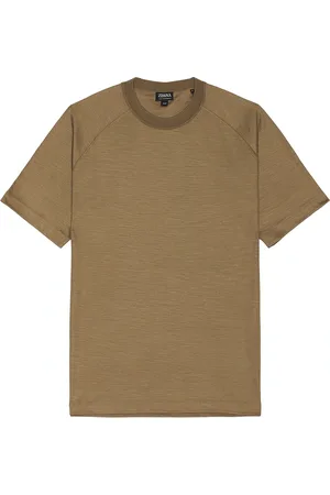 Ermenegildo Zegna High Performance T-Shirt in Brown