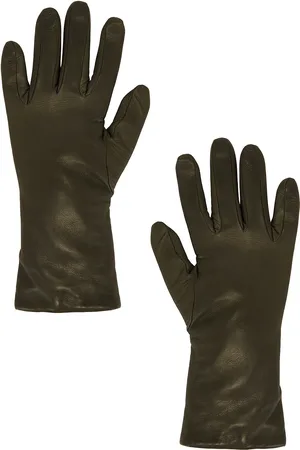 CLYDE Classic Gloves in Olive