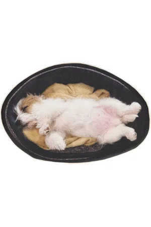 UNDERCOVER Dog Pouch in