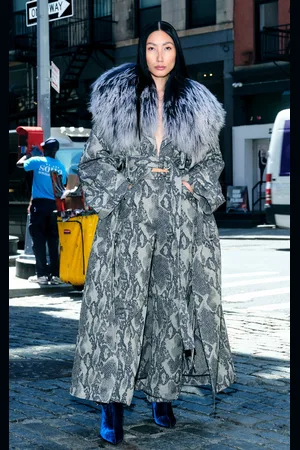 LAPOINTE Snake- Denim Coat