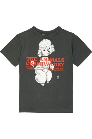 The Animals Observatory Rooster printed cotton T-shirt