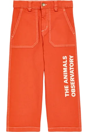 The Animals Observatory Ant logo jeans