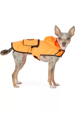 Moncler Jackets - Orange Poldo Dog Couture Edition Mondog Cloak Jacket