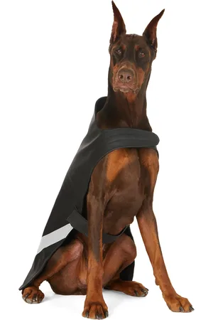 Rainwear - Stutterheim SSENSE Exclusive Lightweight Dog Raincoat