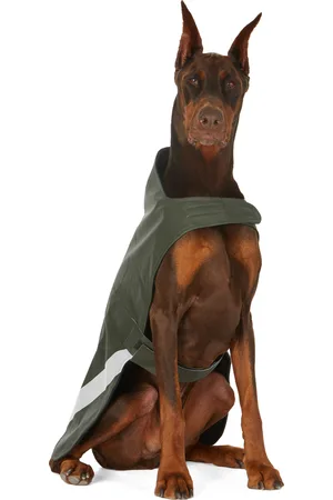 Stutterheim SSENSE Exclusive Khaki Lightweight Dog Raincoat