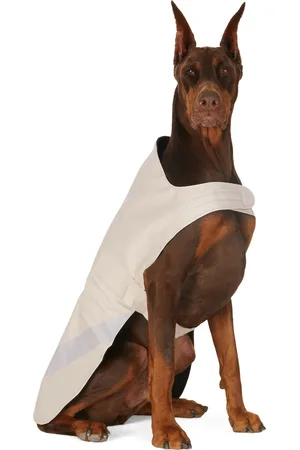 Stutterheim SSENSE Exclusive Off-White Lightweight Dog Raincoat