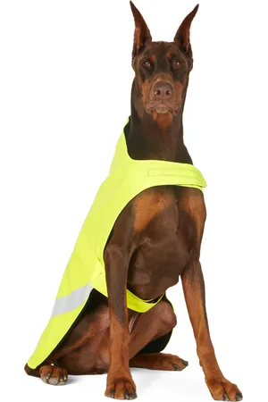 Stutterheim Yellow Safety Dog Raincoat