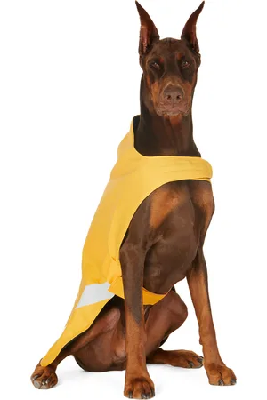 Rainwear - Stutterheim SSENSE Exclusive Lightweight Dog Raincoat