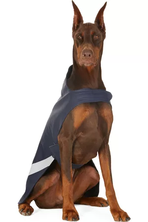 Stutterheim SSENSE Exclusive Navy Lightweight Dog Raincoat