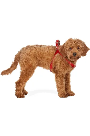 Fantastical Creatures Club Red One Click Harness