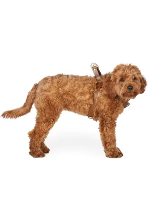 Fantastical Creatures Club Brown One Click Harness