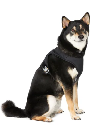 Moncler 6 Moncler 1017 ALYX 9SM Black Poldo Dog Couture Edition Vest