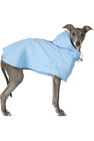 Merlot Ain Dog Coat