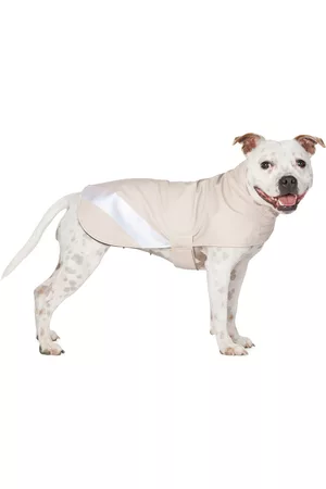 Stutterheim Rainwear - SSENSE Exclusive Beige Dog Raincoat