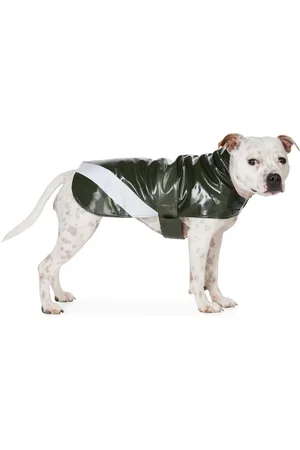 Stutterheim SSENSE Exclusive Green Dog Raincoat